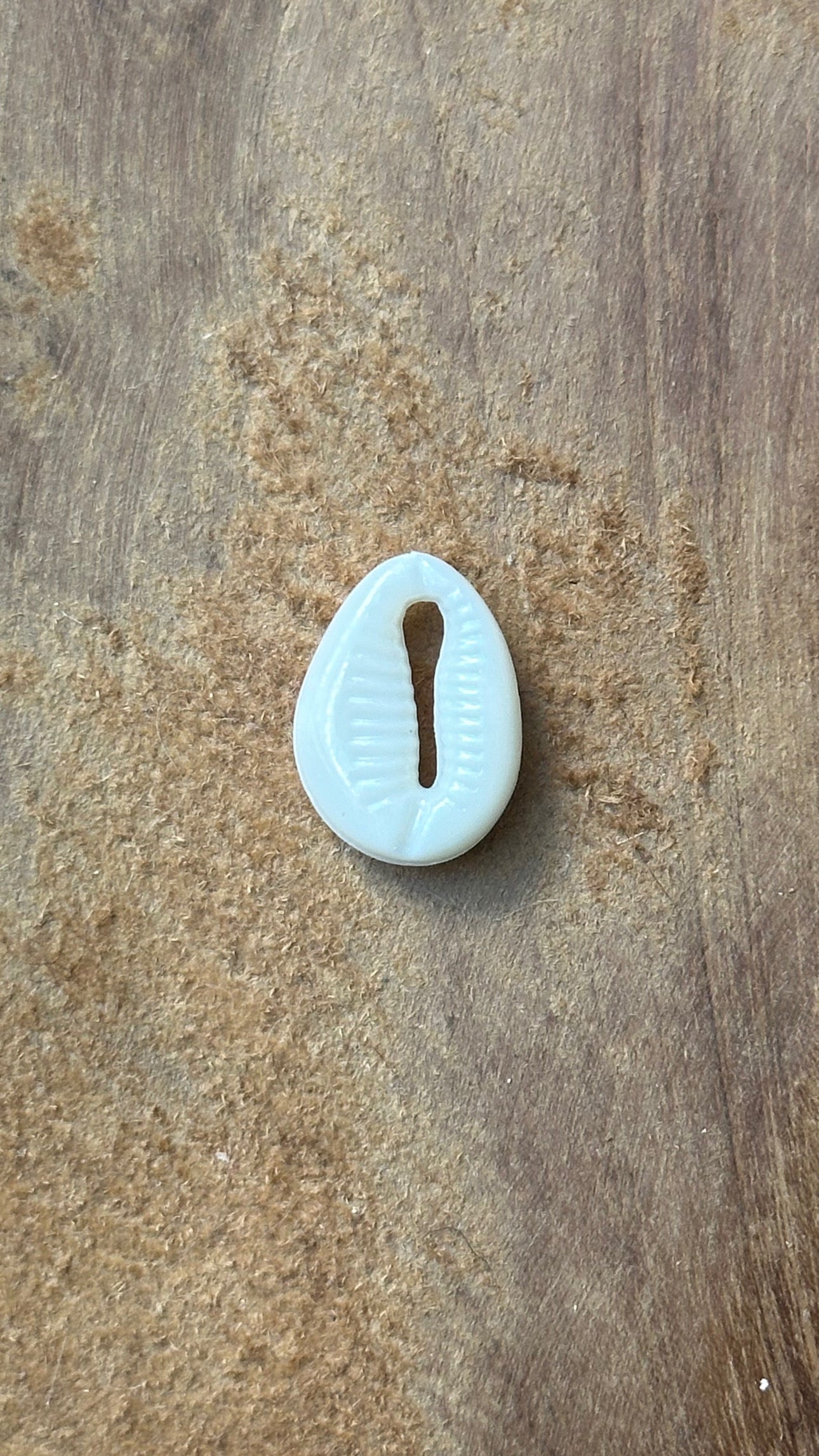 SHELL