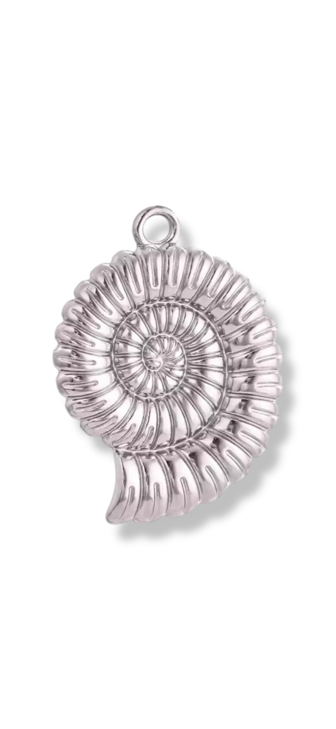 Charm MOLLUSQUE