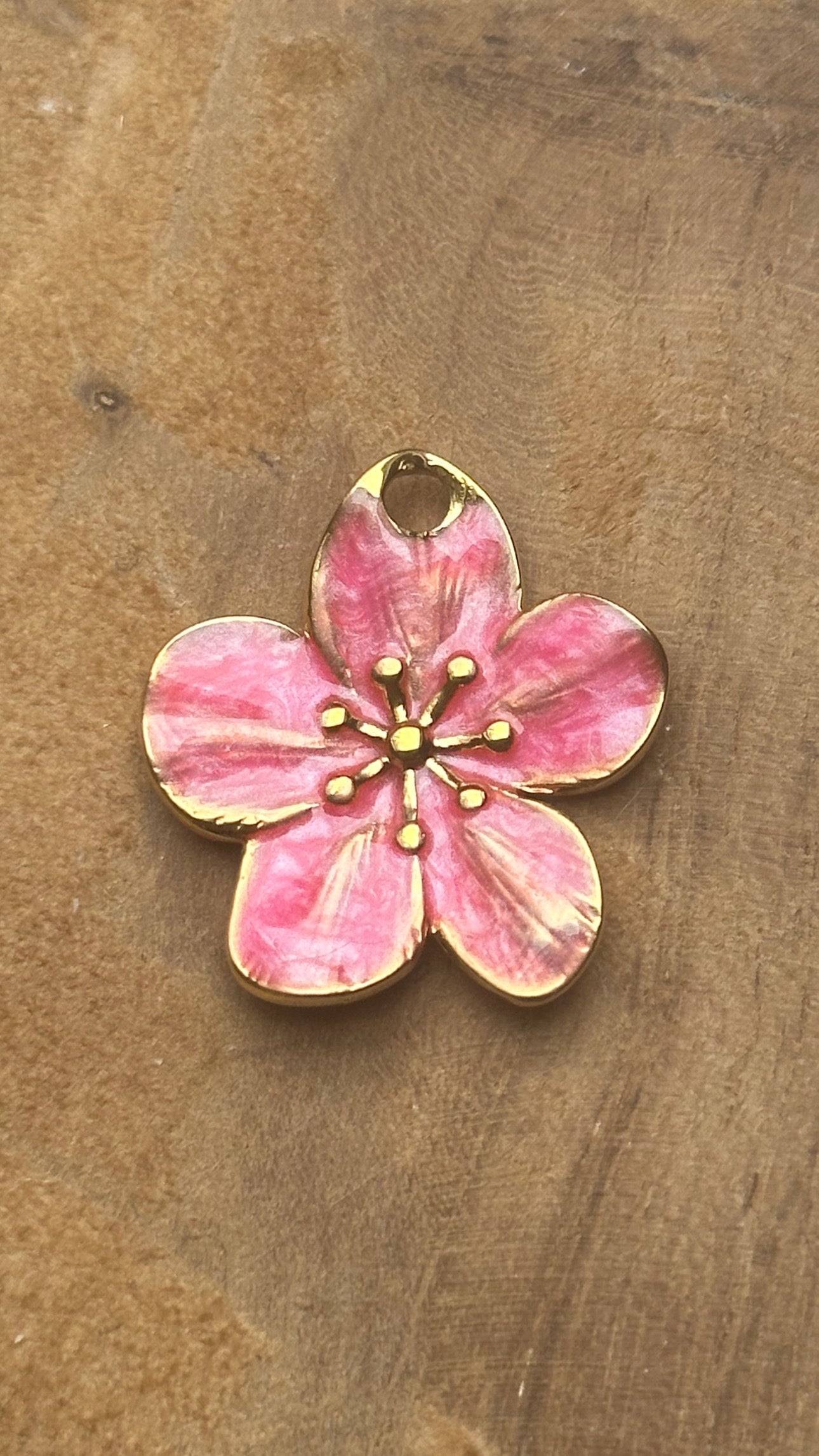 ALAMANDRA ROSE