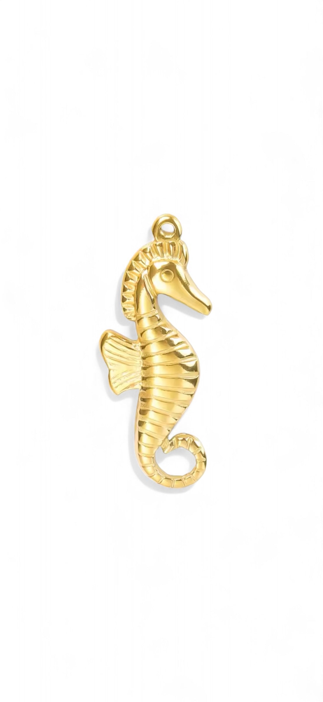 Charm HIPPOCAMPE