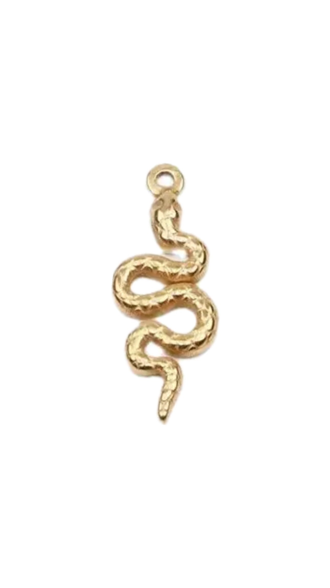 Charm SNAKE