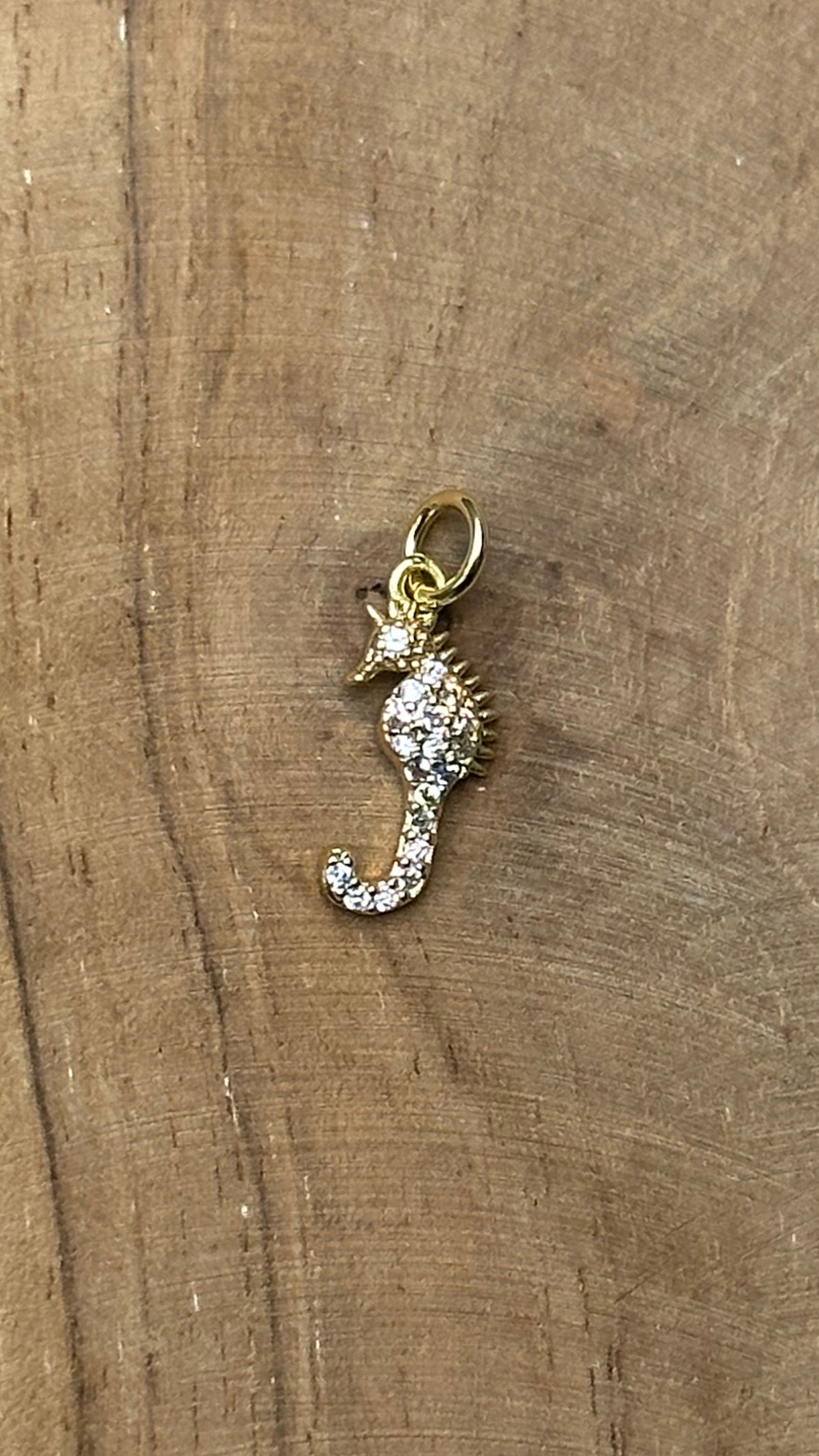 Charm SEAHORSE