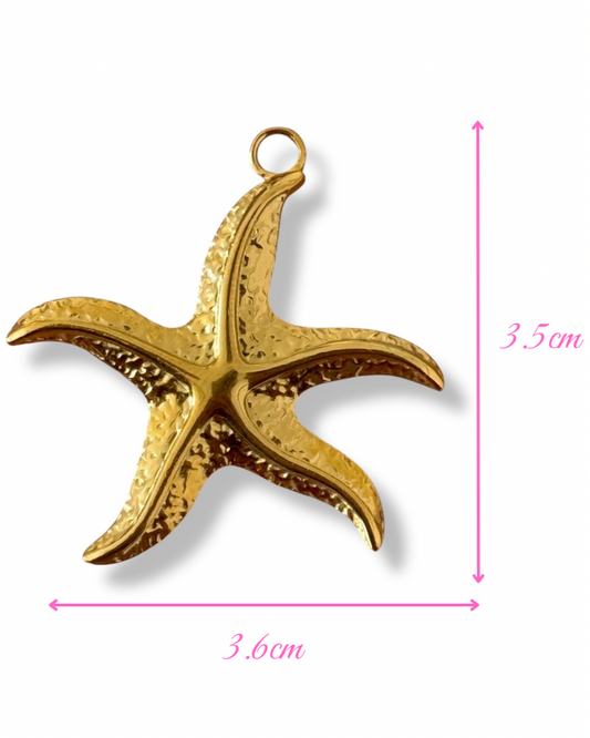 Charm GRANDE ÉTOILE