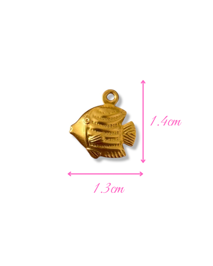Charm FISH