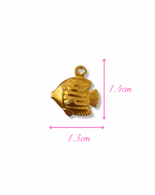Charm FISH