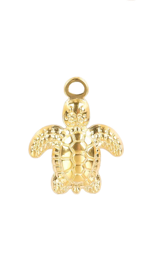 Charm TORTUE