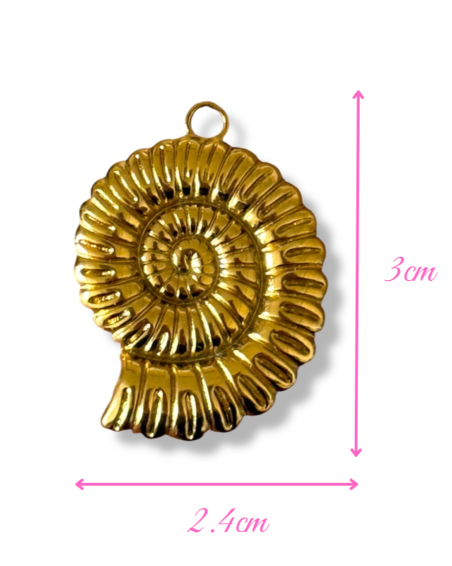 Charm MOLUSQUE