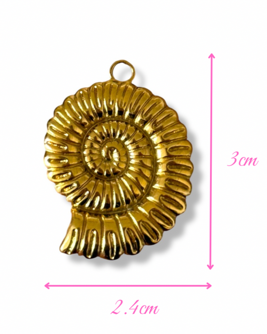 Charm MOLUSQUE