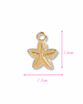 Charm ESTRELA