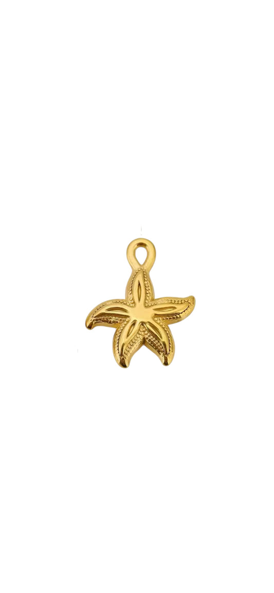 Charm AMAYA