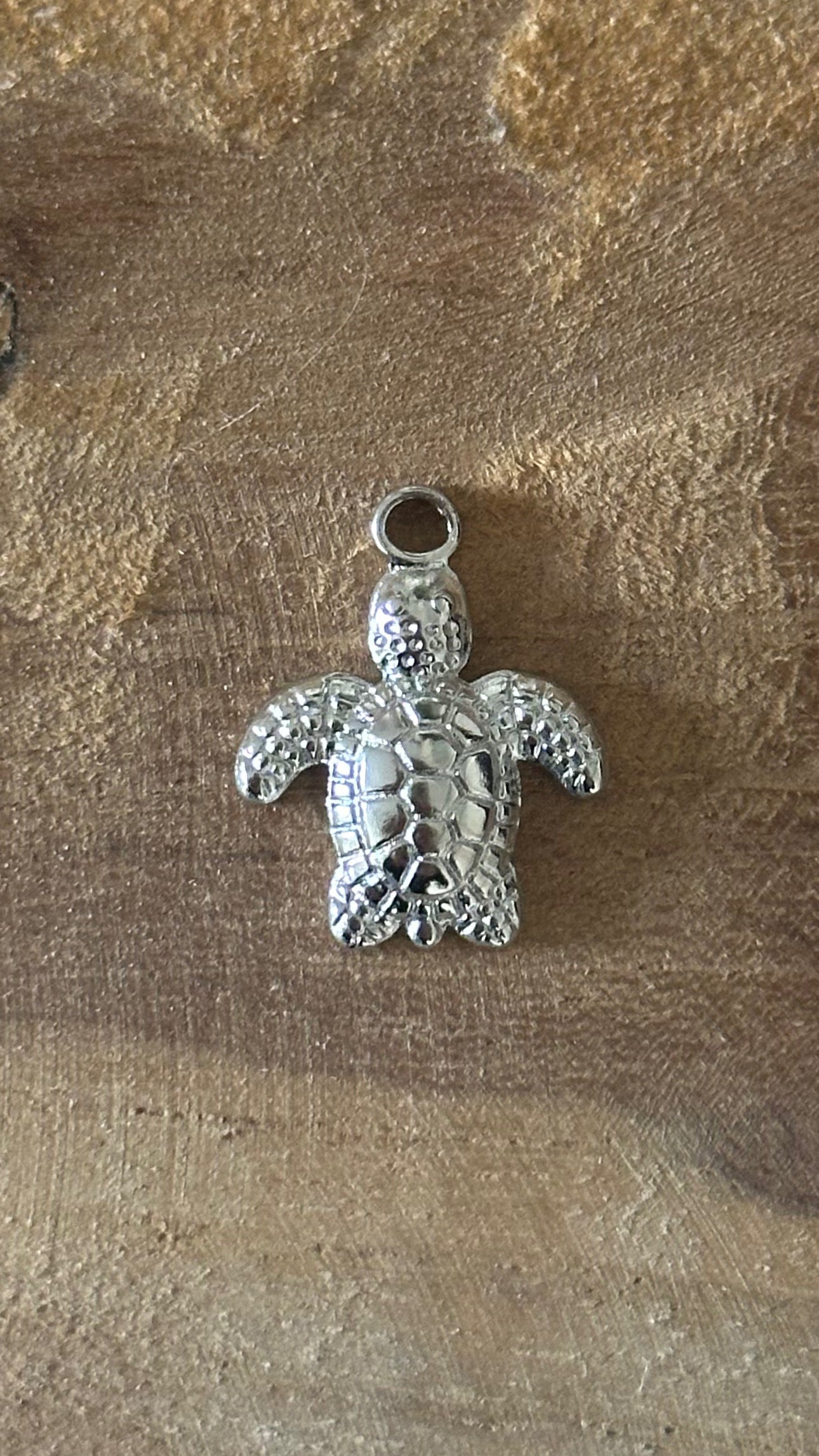 Charm TORTUE