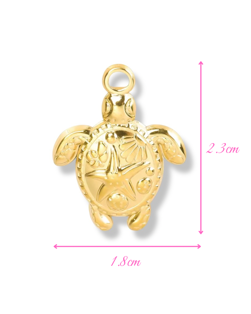 Charm TURTLE