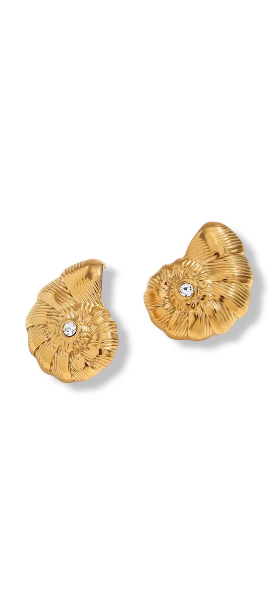 Boucles d’oreilles MOLLUSCA