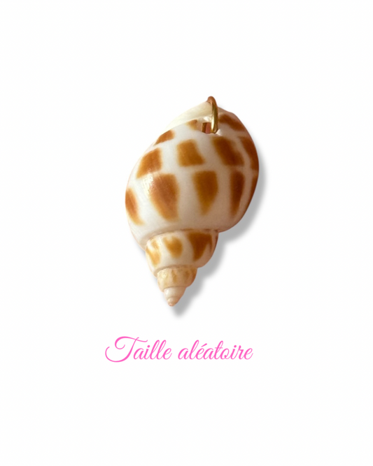 Charm HORIA