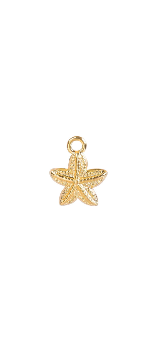 Charm ESTRELA