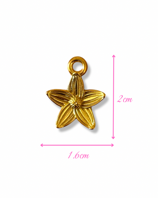 Charm ADA