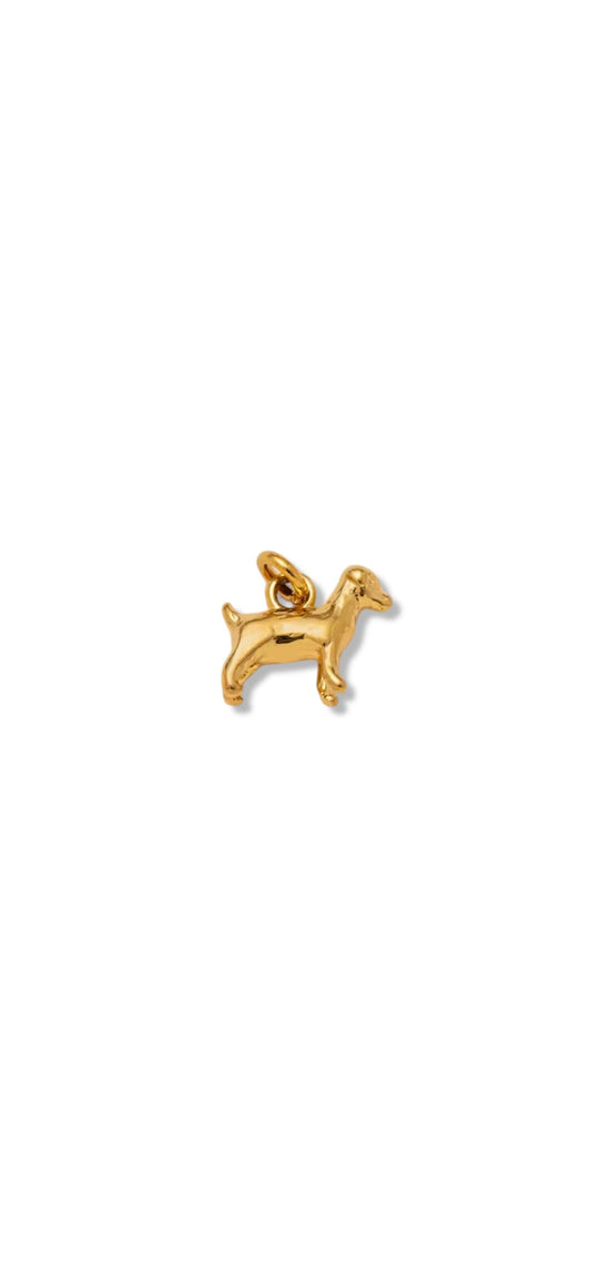 Charm TECKEL